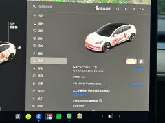 Tesla Model 3 Standard Range RWD Upgrade - photo 7