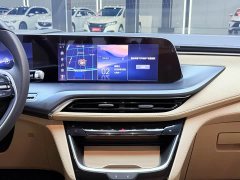 Buick GL8 Land Executive Cabin Advance Edition - фото 11