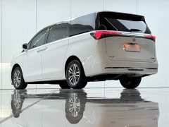 Buick GL8 Land Executive Cabin Advance Edition - фото 14