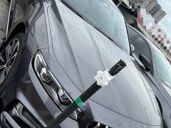 Geely Xingrui 2.0T Diesel Qingyun Edition - photo 3