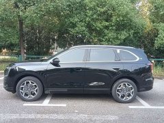 Jetour Shanhai L7 PLUS 121km Luxury Edition 5-seater - photo 5