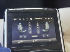 FAW Hongqi H9 2.0T RWD Flagship Luxury Business Edition 5-seater - photo 15