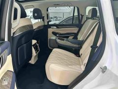 Tank 500 3.0T Business Edition Landscape Trim 5-Seater - фото 17