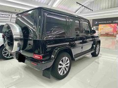 Mercedes-Benz G-Class G 350 - photo 20