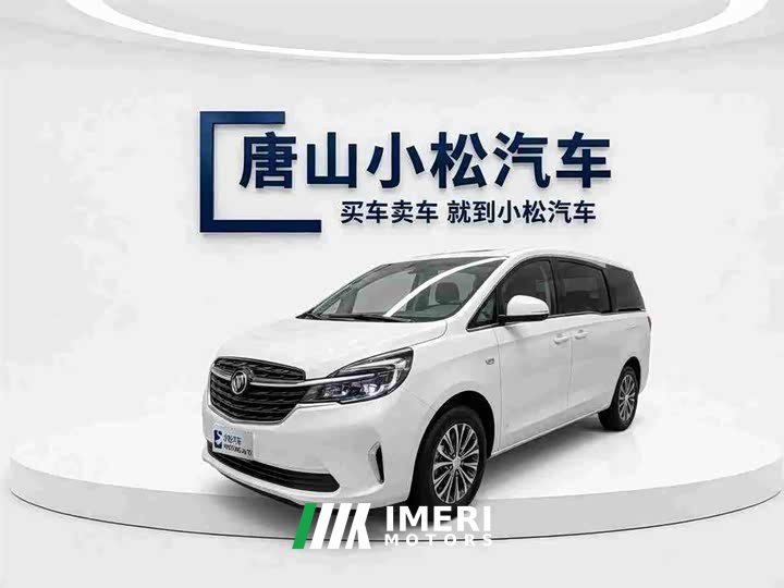 Buick GL8 Land Business Class 652T Comfort - car from China