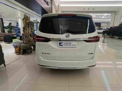 Buick GL8 Land Business Class 652T Comfort - photo 3