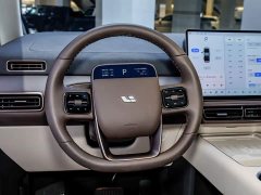 Li Auto Li Xiang MEGA Ultra - ფოტო 13