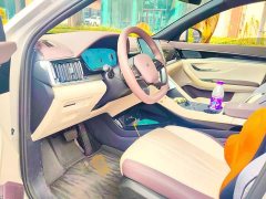 BYD Song Plus New Energy EV Smart Driving Edition 520km Luxury - photo 12