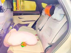 BYD Song Plus New Energy EV Smart Driving Edition 520km Luxury - photo 13