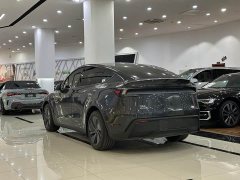 Tesla Model Y Rear-Wheel Drive - фото 11