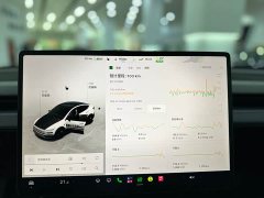 Tesla Model Y Rear-Wheel Drive - фото 7