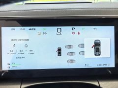 BYD Song L DM-i Smart Drive 112km Exceed - ფოტო 4