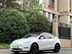 Tesla Model Y Long Range All-Wheel Drive - ფოტო 1
