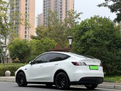 Tesla Model Y Long Range All-Wheel Drive - ფოტო 11