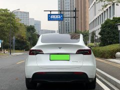 Tesla Model Y Long Range All-Wheel Drive - ფოტო 12