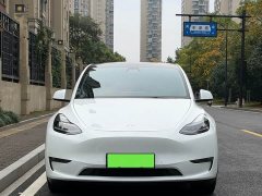 Tesla Model Y Long Range All-Wheel Drive - ფოტო 3
