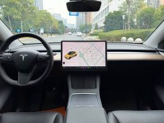 Tesla Model Y Long Range All-Wheel Drive - ფოტო 7