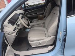 ORA Good Cat 401km Standard Range Deluxe LFP - ფოტო 11