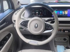 ORA Good Cat 401km Standard Range Deluxe LFP - ფოტო 6