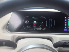 ORA Good Cat 401km Standard Range Deluxe LFP - ფოტო 7
