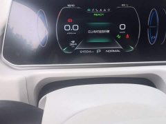 ORA Good Cat 401km Standard Range Deluxe LFP - ფოტო 8