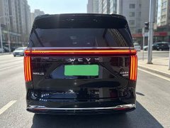 Great Wall WEY Shanshan New Energy Four-Wheel Drive Shanshan 8 - photo 9