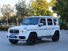Mercedes-Benz G-Class G 500 - фото 1