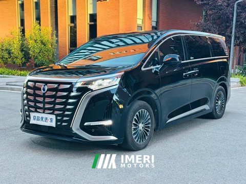 2023 Denza D9 DM-i 1040 Premium - ავტომობილი ჩინეთიდან