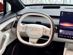 Nio Lerado L60 60kWh Rear-Wheel Drive - фото 14