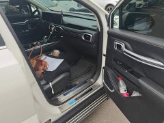 Geely Haoyue 1.8T Diesel DCT Luxury 5-Seater - photo 8