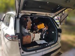 Dongfeng eπ008 210Max Extended Range 6-Seater - photo 15