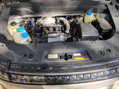 Dongfeng eπ008 210Max Extended Range 6-Seater - photo 16