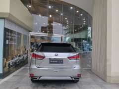 Lexus RX Facelift 300 AWD Elegance - ფოტო 5