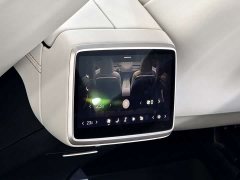 Nio Lerado L60 60kWh Rear-Wheel Drive - ფოტო 12