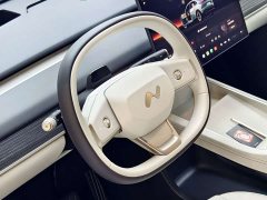 Nio Lerado L60 60kWh Rear-Wheel Drive - ფოტო 9