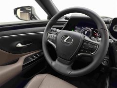 Lexus ES 300h Excellence Edition - фото 10