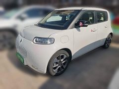ORA White Cat 401km Range Top Edition - ფოტო 1