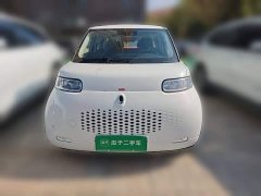 ORA White Cat 401km Range Top Edition - ფოტო 2