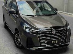 Buick GL8 Land Business Class Comfort Edition - ფოტო 3