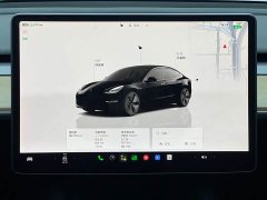 Tesla Model 3 Rear-Wheel Drive - ფოტო 10