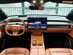 Nio Lerado L60 60kWh Rear-Wheel Drive - photo 13