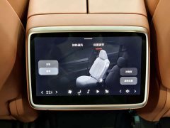 Nio Lerado L60 60kWh Rear-Wheel Drive - photo 14