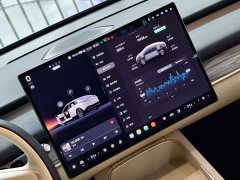 Nio Lerado L60 60kWh AWD - ფოტო 15