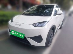 BYD Seagull 305km Vitality Edition - ფოტო 1