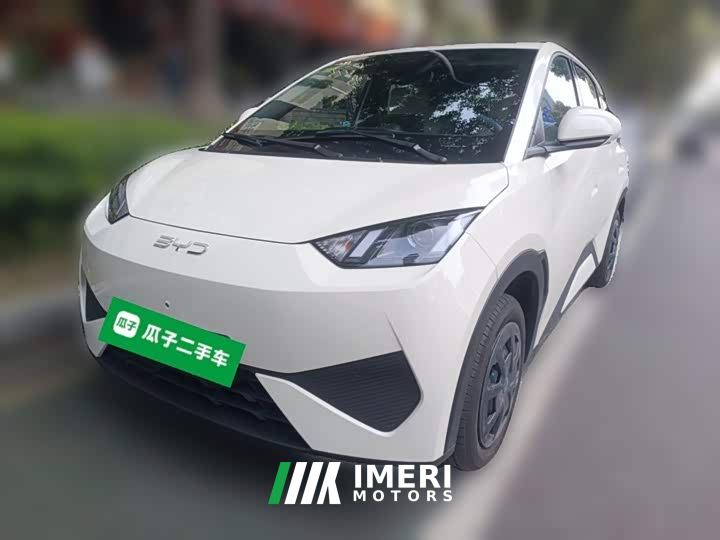 BYD Seagull 305km Vitality Edition
