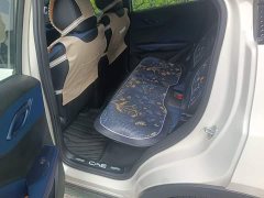 BYD Seagull 305km Vitality Edition - ფოტო 13