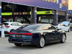Audi A7L 45TFSI S-line Dream Edition Fluid Crystal Package - фото 20