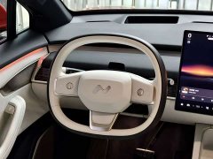 Nio Lerado L60 60kWh Rear-Wheel Drive - photo 13