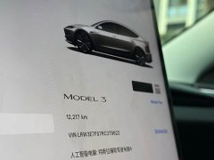Tesla Model 3 Rear-Wheel Drive - ფოტო 14