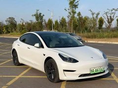 Tesla Model 3 Rear-Wheel Drive - ფოტო 3